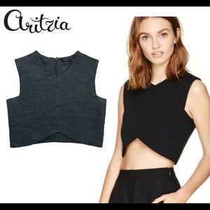 ARITZIA Talula Gray Sleeveless Cropped Top Size Extra Small
